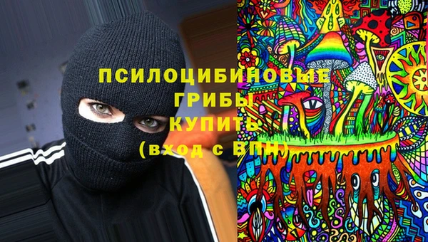 кокс Алексин