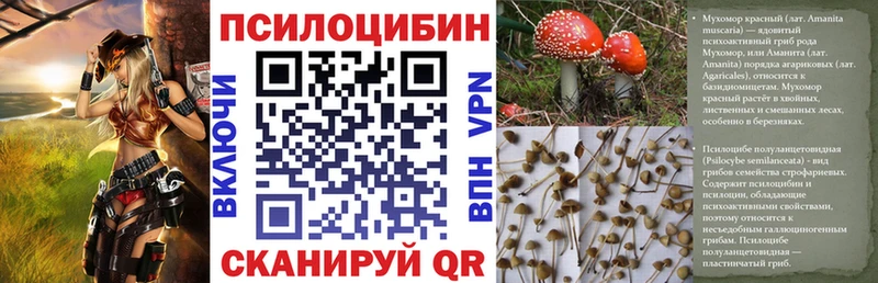 закладки Белебей Галлюциногенные грибы GOLDEN TEACHER